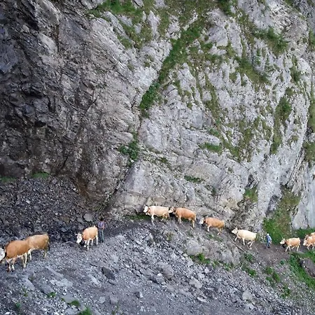 Ferienwohnung Ravinel I Ap 1 Adelboden